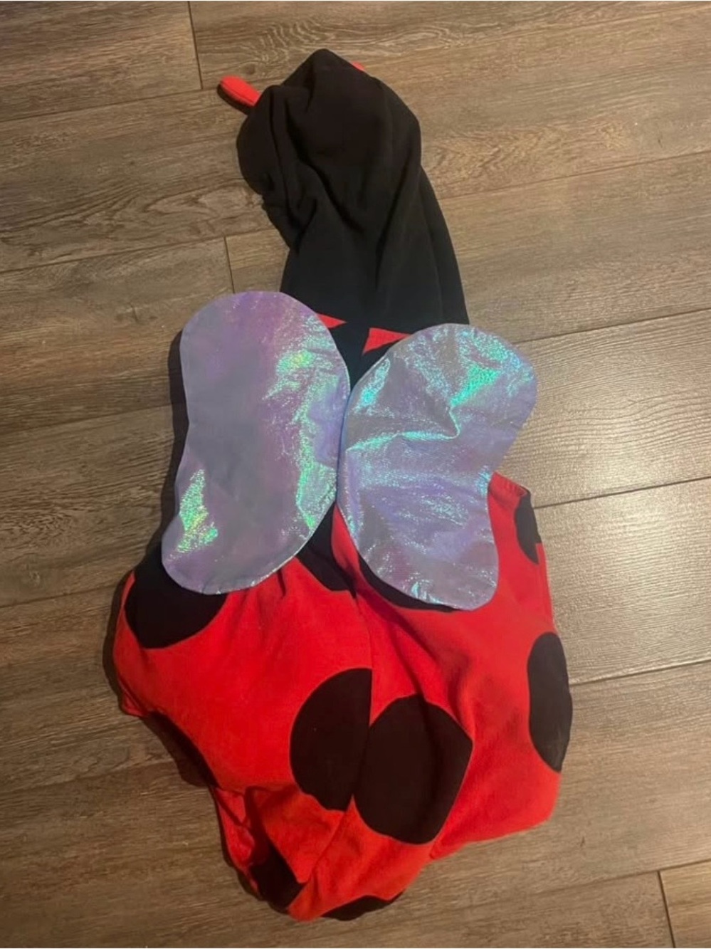 Kids Ladybug Halloween Costume with Iridescent Wings - Red & Black - 24m
